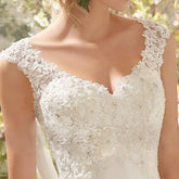 Romantisches, charmantes V-Ausschnitt-Spitzennetz-Hochzeits-/Abendkleid